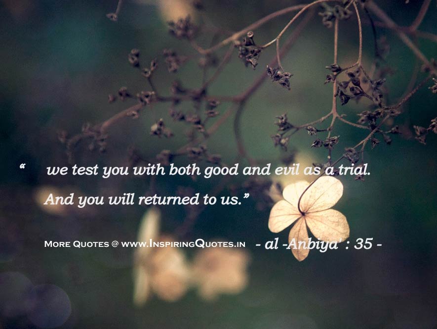 Quran-Quotes-Holy-Book-Quran-Quotations-Thoughts-Quran-Good-Saying-Images-Wallpapers-Photos-Pictures.jpg